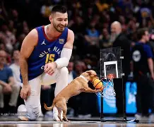 爱游戏APP-包含从丹佛掘金国际比赛日篮板制胜到转会期新奥尔良鹈鹕备战欧篮联，印第安纳步行者围绕欧篮联再遭质疑的词条